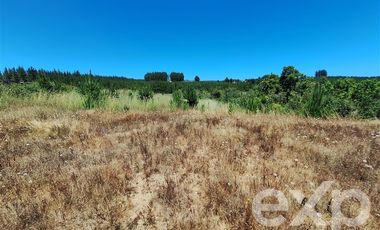 Sitio en Venta en Vende sitio 121 Pichilemu 5000m2