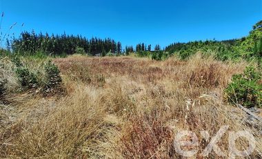Sitio en Venta en Vende sitio 121 Pichilemu 5000m2