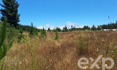 Sitio en Venta en Vende sitio 121 Pichilemu 5000m2