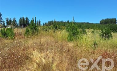 Sitio en Venta en Vende sitio 121 Pichilemu 5000m2