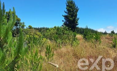 Agrícola en Venta en Vende sitio 121 Pichilemu 5000m2