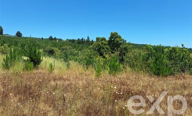Agrícola en Venta en Vende sitio 121 Pichilemu 5000m2