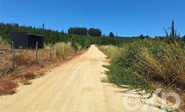 Agrícola en Venta en Vende sitio 121 Pichilemu 5000m2