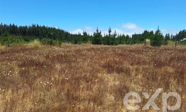 Agrícola en Venta en Vende sitio 121 Pichilemu 5000m2