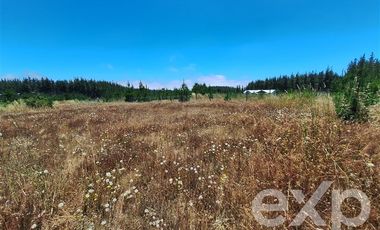 Agrícola en Venta en Vende sitio 121 Pichilemu 5000m2