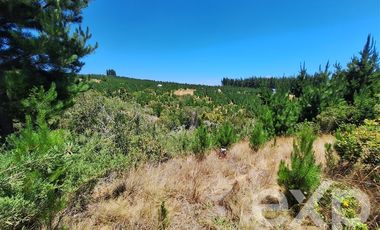 Parcela en Venta en Vende sitio 121 Pichilemu 5000m2