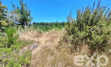 Parcela en Venta en Vende sitio 121 Pichilemu 5000m2