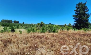 Parcela en Venta en Vende sitio 121 Pichilemu 5000m2