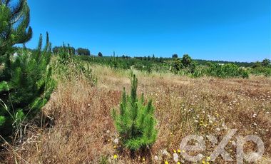 Parcela en Venta en Vende sitio 121 Pichilemu 5000m2