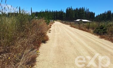Parcela en Venta en Vende sitio 121 Pichilemu 5000m2