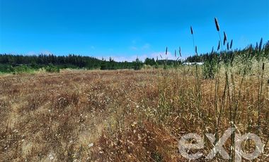 Parcela en Venta en Vende sitio 121 Pichilemu 5000m2