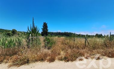 Terreno Construccion en Venta en Vende sitio 121 Pichilemu 5000m2