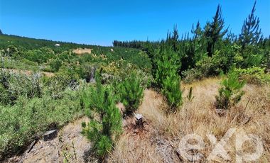 Terreno Construccion en Venta en Vende sitio 121 Pichilemu 5000m2
