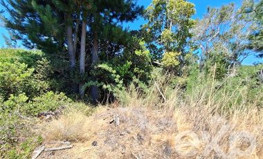 Terreno Construccion en Venta en Vende sitio 121 Pichilemu 5000m2