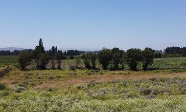 Parcela en Venta en Ruta 5