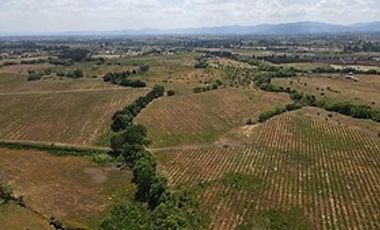 Parcela en Venta en Ruta 5