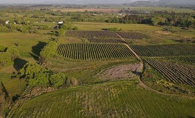 Parcela en Venta en Ruta 5