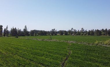 Parcela en Venta en Ruta 5