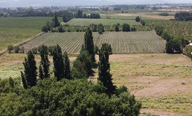 Parcela en Venta en Ruta 5