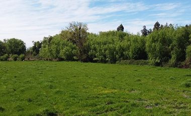 Parcela en Venta en Ruta 5