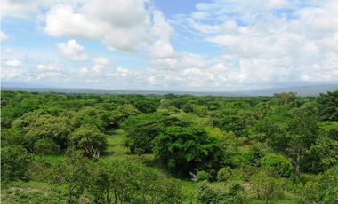 Alquiler Vacacional Finca Armero-Guayabal