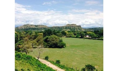 Alquiler Vacacional Finca Armero-Guayabal