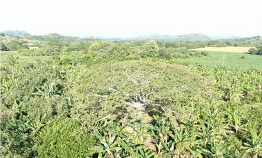Alquiler Vacacional Finca Armero-Guayabal