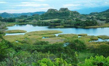 Alquiler Vacacional Finca Armero-Guayabal