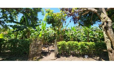 Alquiler Vacacional Finca Armero-Guayabal