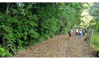 Alquiler Vacacional Finca Armero-Guayabal