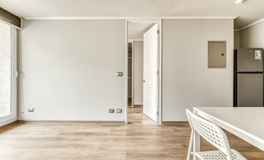 Activa Bezanilla [2786-1]