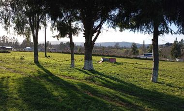 Local comercial en venta en LA UNION