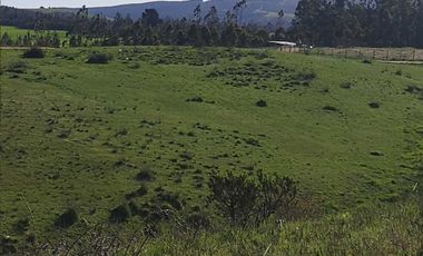 Parcela en venta en PAREDONES