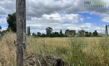 Agrícola en Venta en Casi 7 hectareas a 15 minutos de Entrelagos.