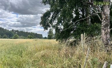 Agrícola en Venta en Casi 7 hectareas a 15 minutos de Entrelagos.