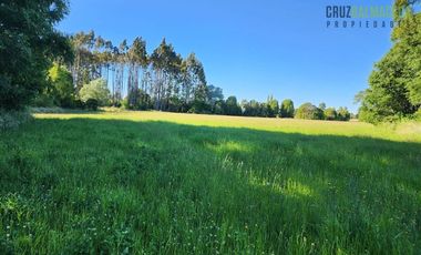 Agrícola en Venta en Casi 7 hectareas a 15 minutos de Entrelagos.