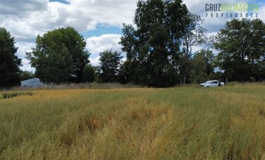 Agrícola en Venta en Casi 7 hectareas a 15 minutos de Entrelagos.