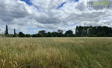 Agrícola en Venta en Casi 7 hectareas a 15 minutos de Entrelagos.