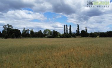 Agrícola en Venta en Casi 7 hectareas a 15 minutos de Entrelagos.