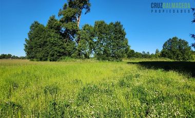 Agrícola en Venta en Casi 7 hectareas a 15 minutos de Entrelagos.