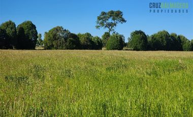 Agrícola en Venta en Casi 7 hectareas a 15 minutos de Entrelagos.
