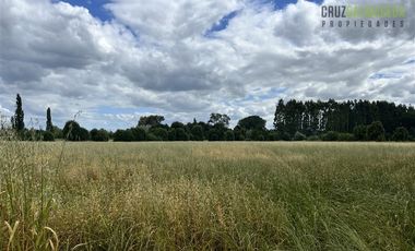 Agrícola en Venta en Casi 7 hectareas a 15 minutos de Entrelagos.