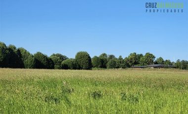 Agrícola en Venta en Casi 7 hectareas a 15 minutos de Entrelagos.