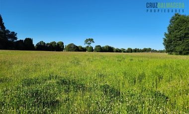 Agrícola en Venta en Casi 7 hectareas a 15 minutos de Entrelagos.