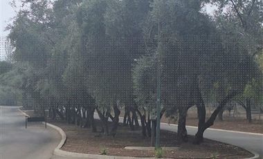Parcela en Venta en Condominio Hacienda Chacabuco Colina