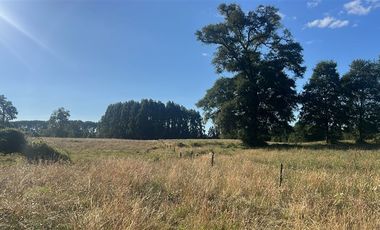 Agrícola en Venta en Carretera 5 Sur