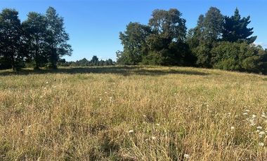 Agrícola en Venta en Carretera 5 Sur