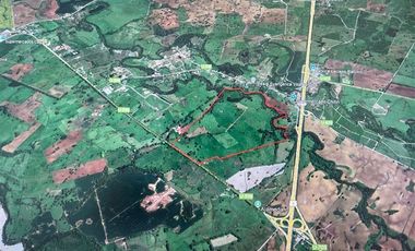 Agrícola en Venta en Carretera 5 Sur