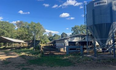 Agrícola en Venta en Carretera 5 Sur