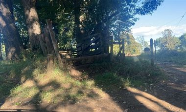 Agrícola en Venta en Carretera 5 Sur